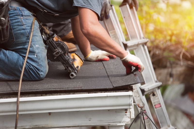 Skilled Roofing Professionals